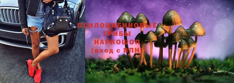 Галлюциногенные грибы MAGIC MUSHROOMS  цены наркотик  Новосиль 